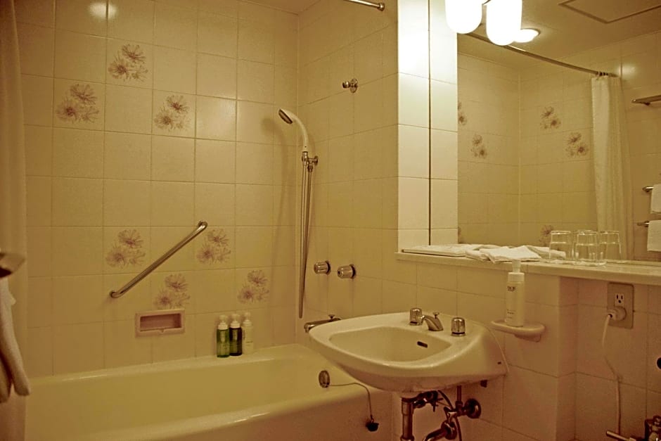 Hotel Nikko Narita
