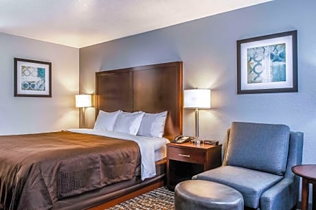 King Room - Non-Smoking/Pet Friendly