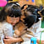 Hatsuneso Shinkan