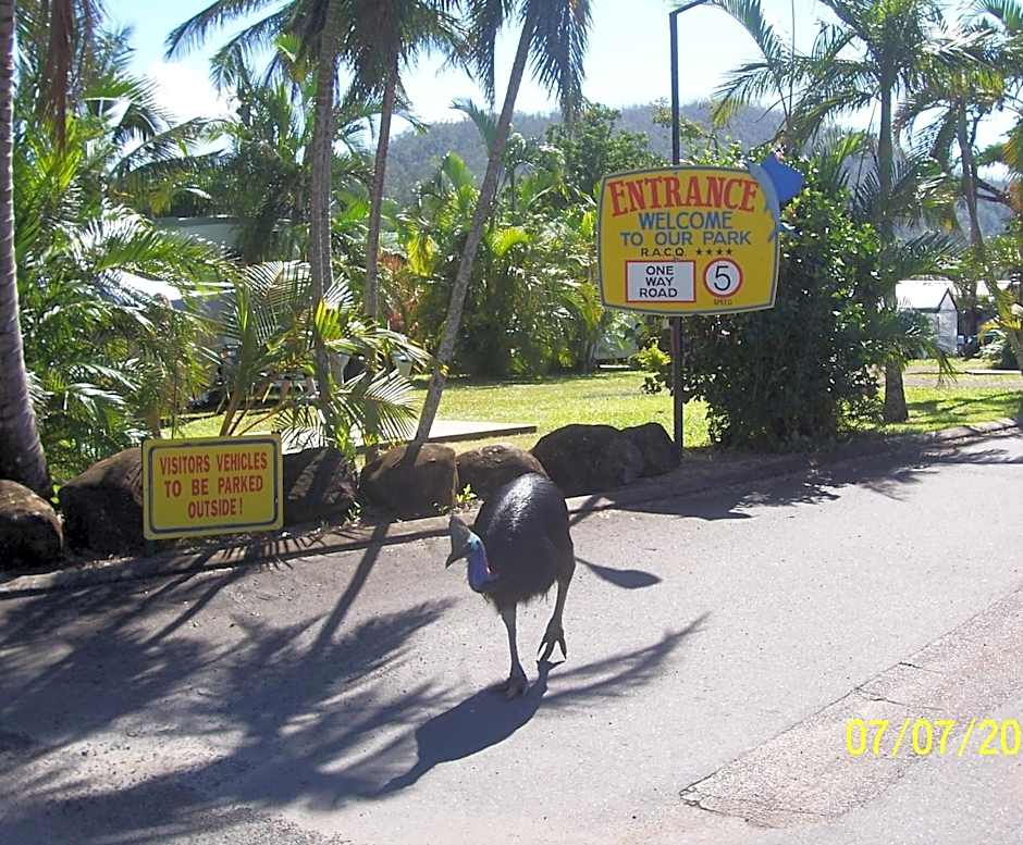 Flying Fish Point Tourist Park