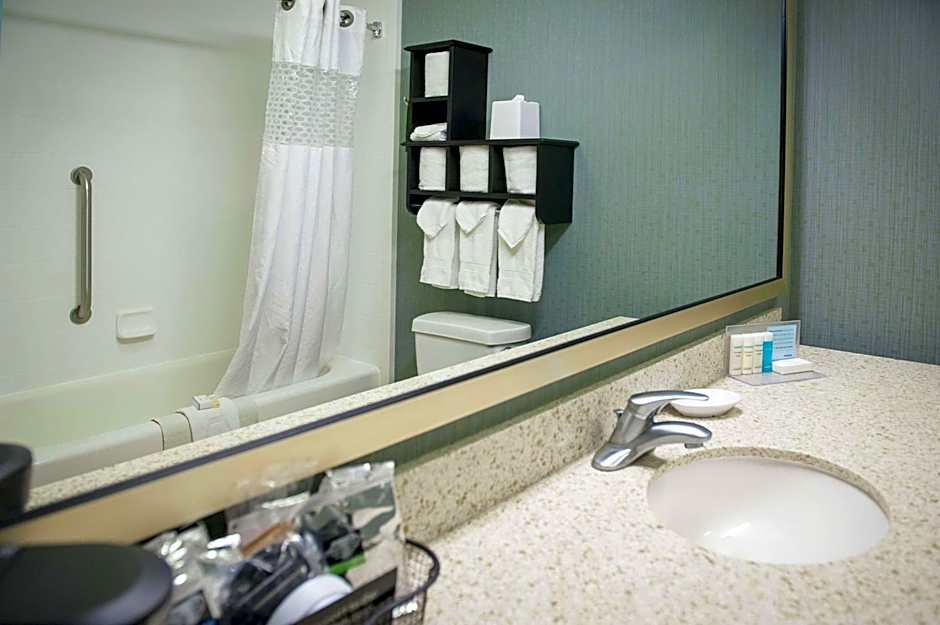 Hampton Inn By Hilton & Suites St. Petersburg/Downtown