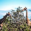 Honeyguide Tented Safari Camp - Khoka Moya