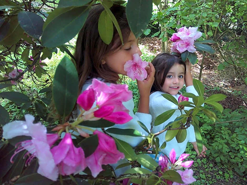 B&B Chatelet Cremers