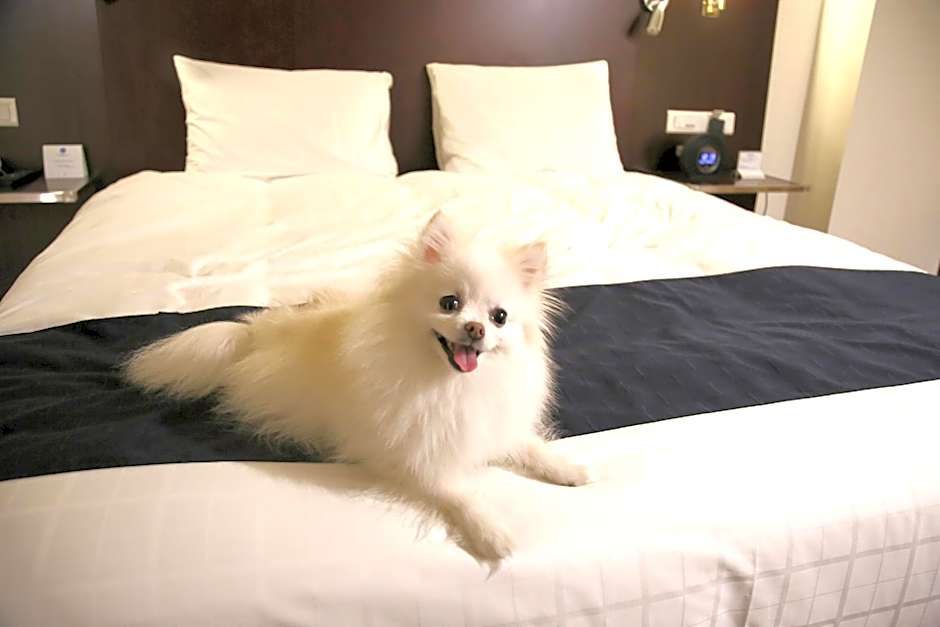 Novotel Ambassador Daegu