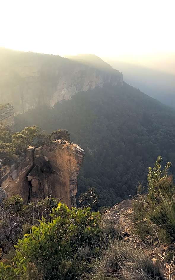 Flying Fox Backpackers