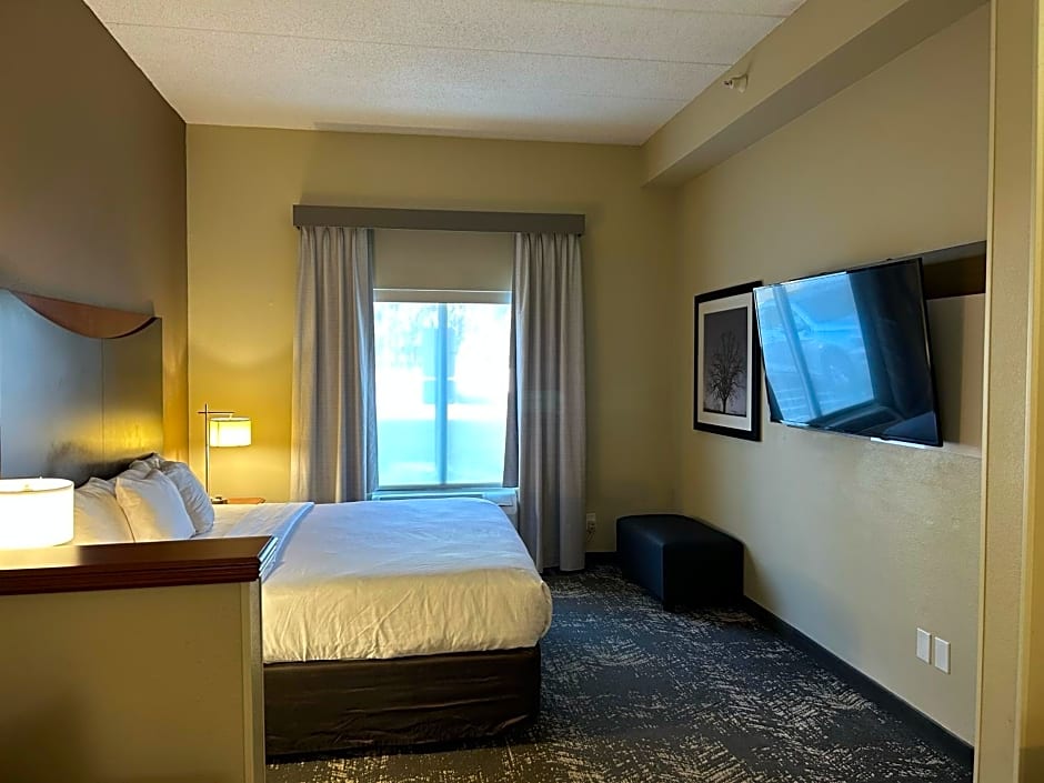 Comfort Suites Columbia at Harbison