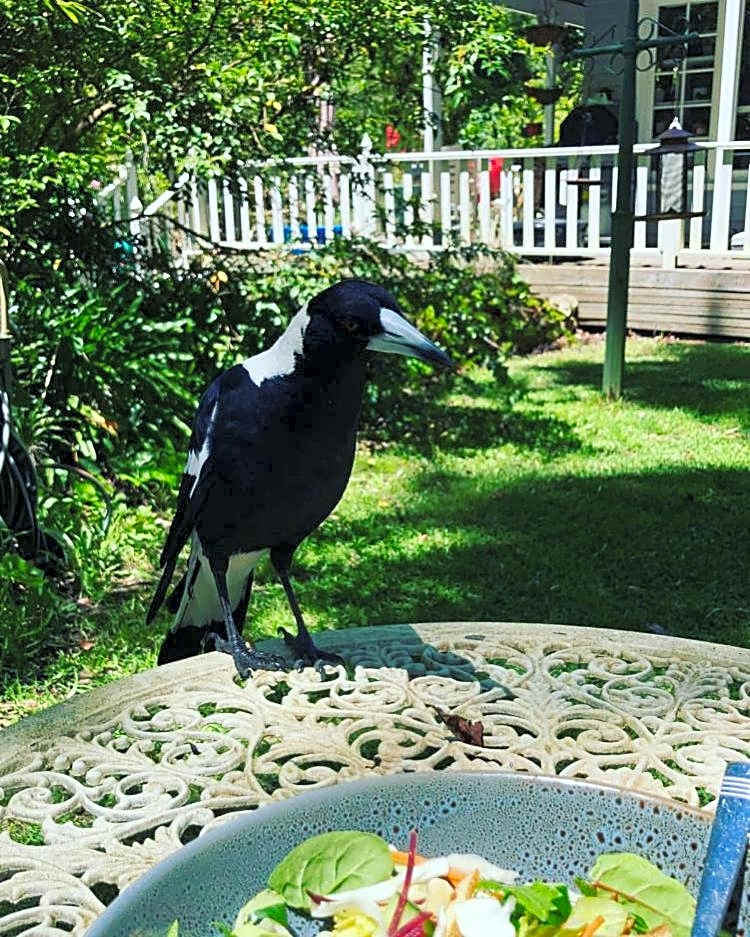 Aldgate Valley Bed and Breakfast