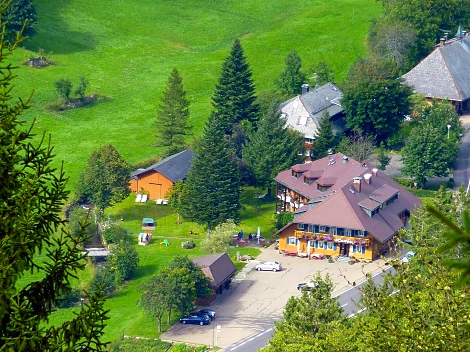 Hotel Lawine