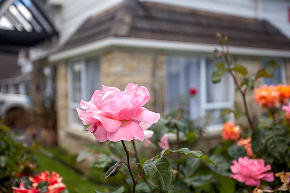 Rose Court Motel