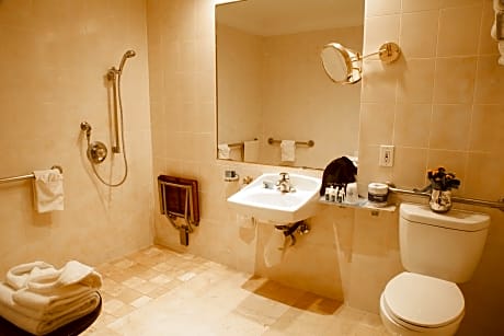 King Room with Mobility Accessible Roll-In Shower and Sofa Bed