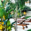 Triangulo Hotel