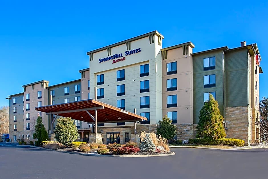 SpringHill Suites by Marriott Pigeon Forge