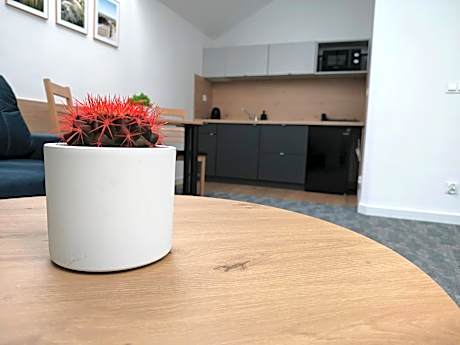 Deluxe Double Studio