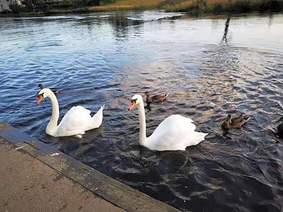 The Caledonian Thistle Hotel