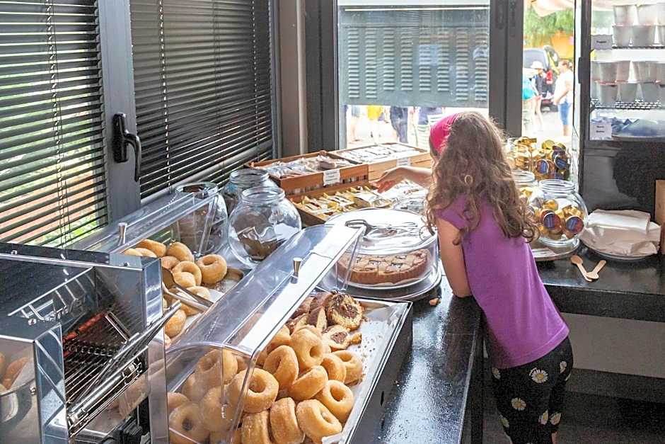 Roma Camping in Town