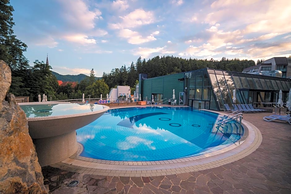 Hotel Švicarija - Terme Dobrna
