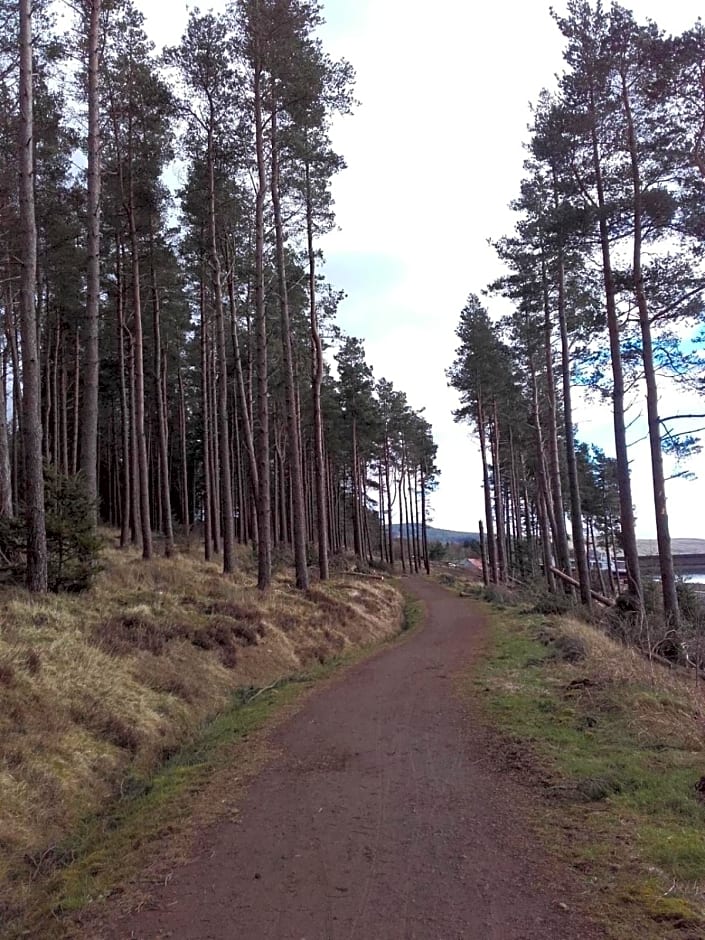 The Barn, Bellingham