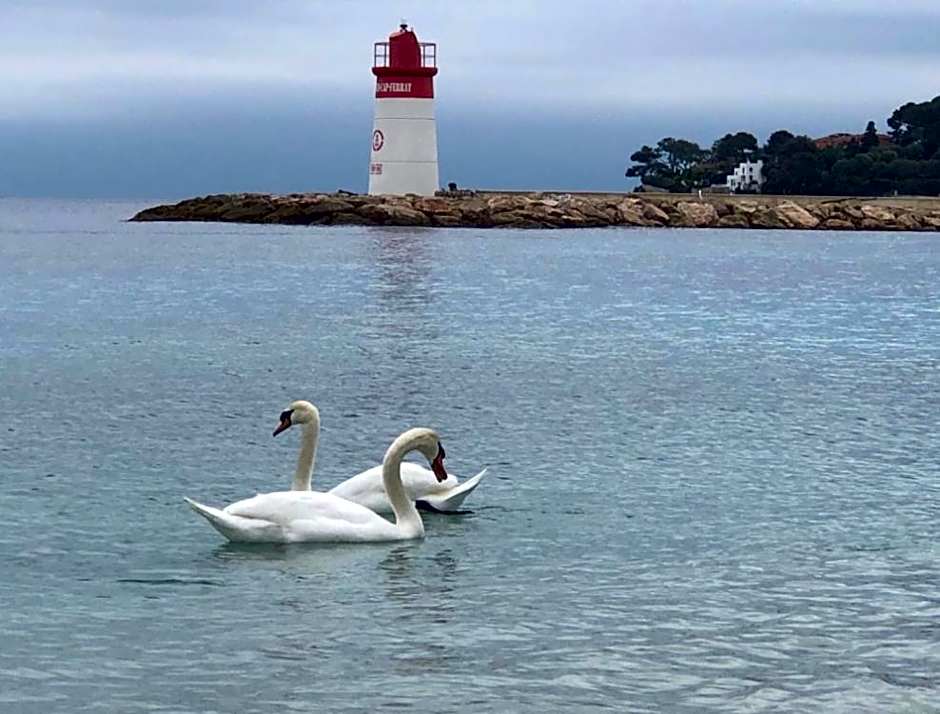 Great and light private room in the heart of Nice