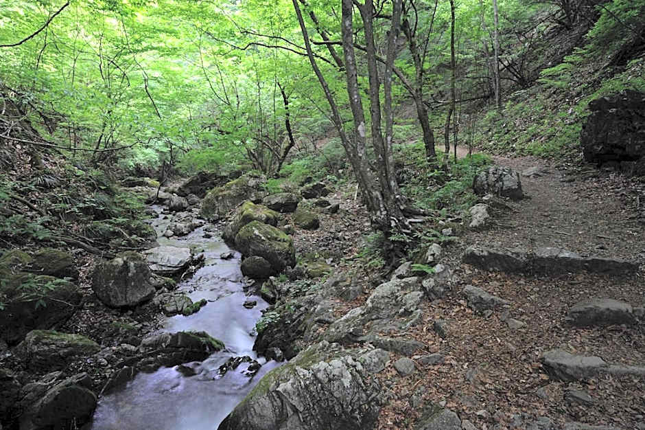 Shukubo Komadori-Sanso
