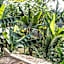 Bali Bamboo Jungle Huts And Hostel.