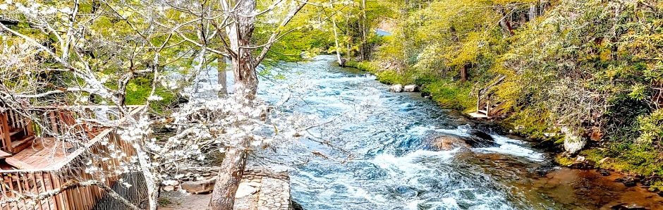Deep Creek Lodge 