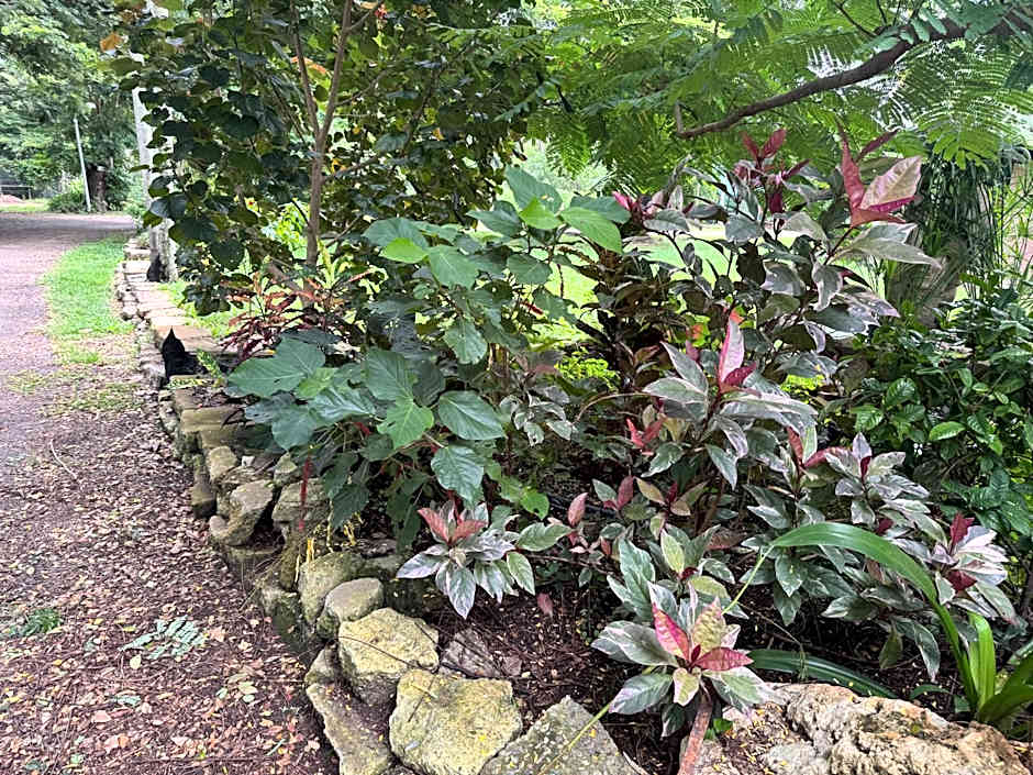 Darwin Boomerang Motel and Caravan Park