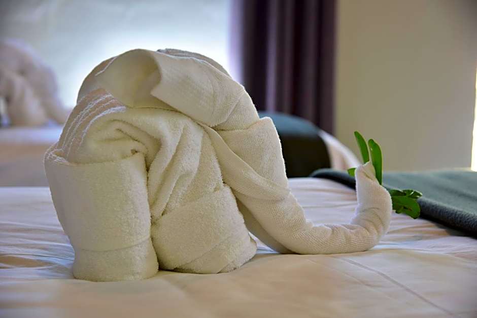 Bayala Private Safari Lodges