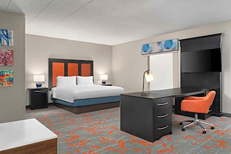 1 King Studio Suite Microwv/Fridge/Wet Bar Ns