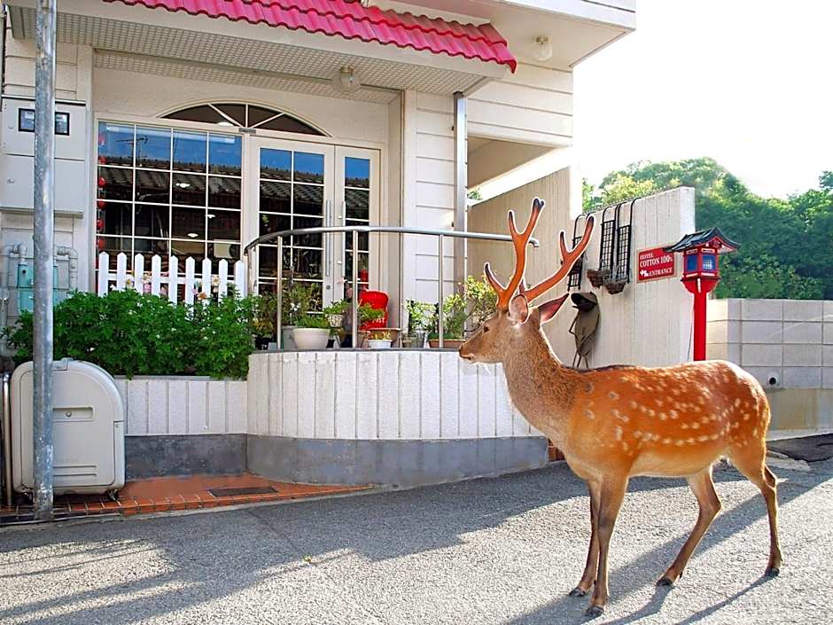 Nara - Hotel / Vacation STAY 47950