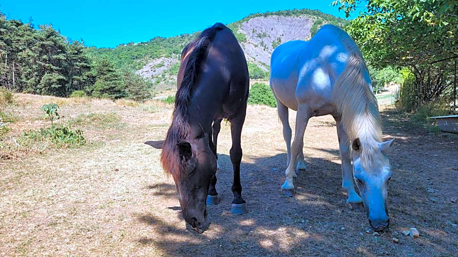 Chambre d'hôtes La Citadelle