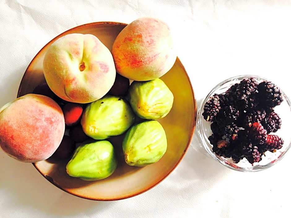 B&B Al Vecchio Pontile B&B MARSALA