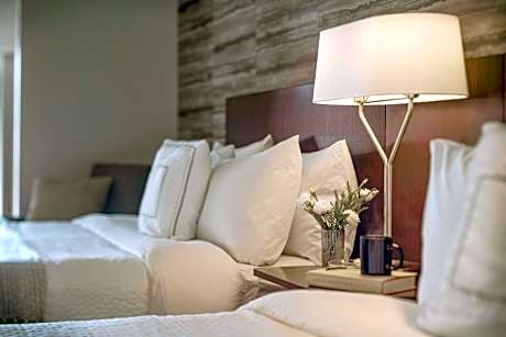 Studio, 2 Queen, Sofa bed