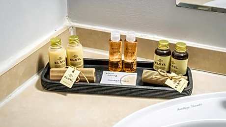 Superior Single Room