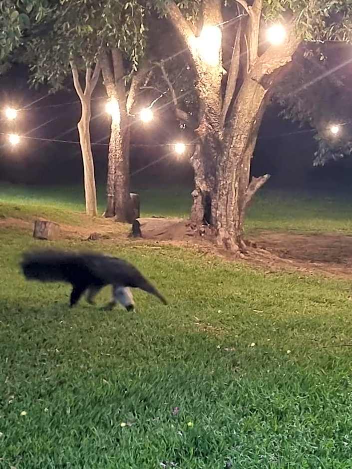 Pousada Cachoeira do Campo