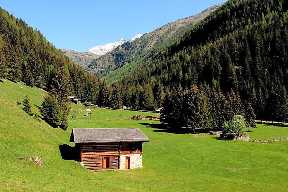 Alpen Hotel Rabbi