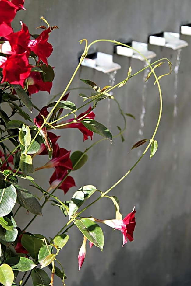 Hotel Montaigne And Spa