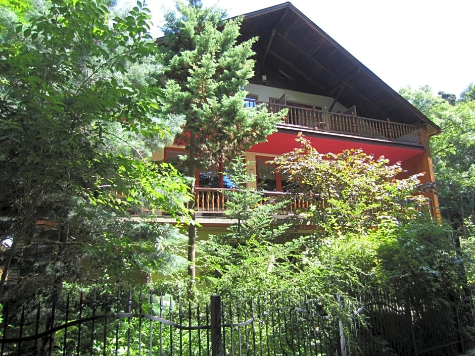 Willa M cisza w centrum miasta