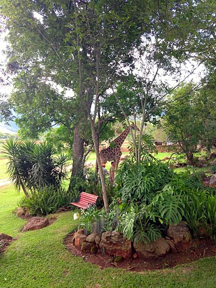 Caracal Lodge