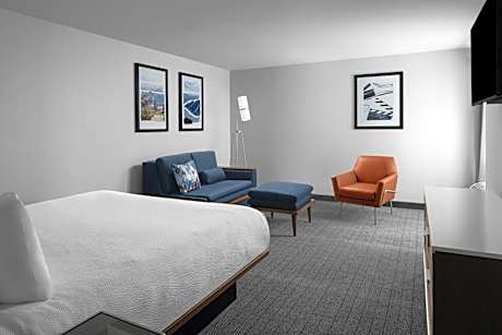 1 Bedroom Hospitality Suite, 1 King, Sofa beds: 2
