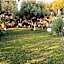 Villa DESIDERIA B&B