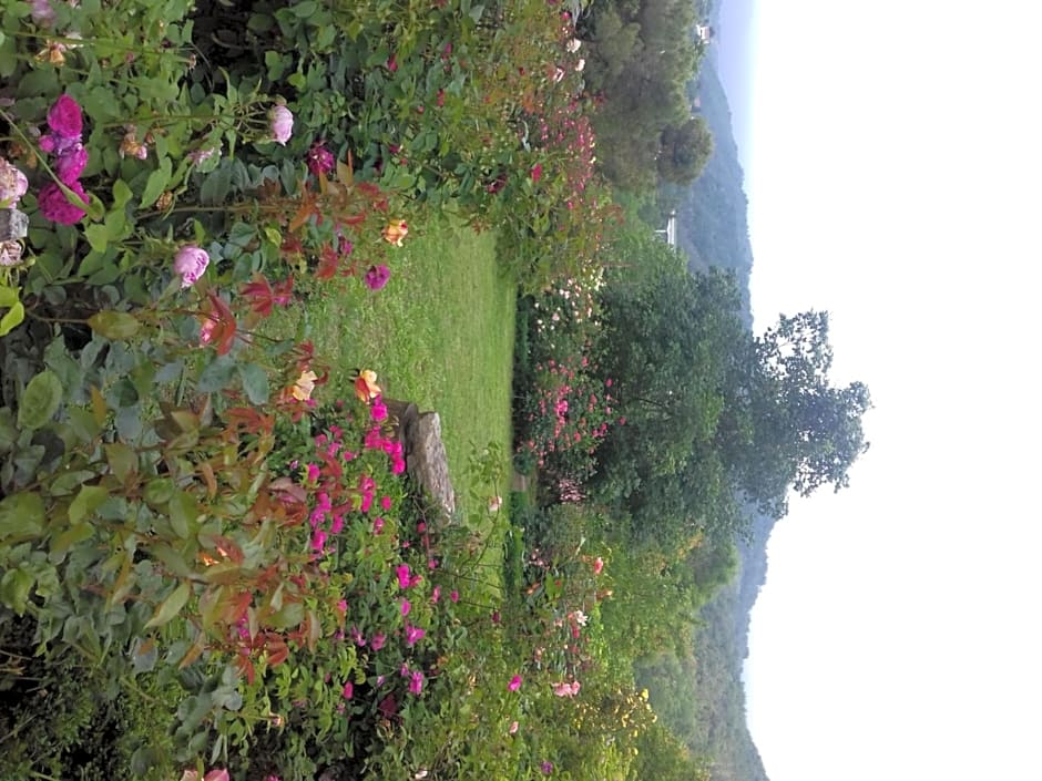 B&B The Roses Garden