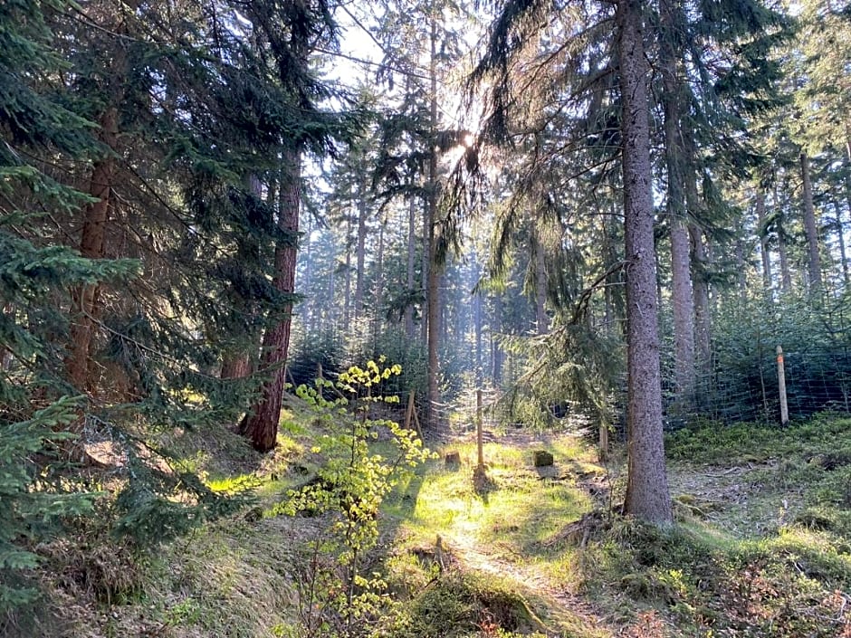 Willa Gencjana – Szklarska Poreba, ND