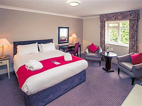 1 King Bed Superior