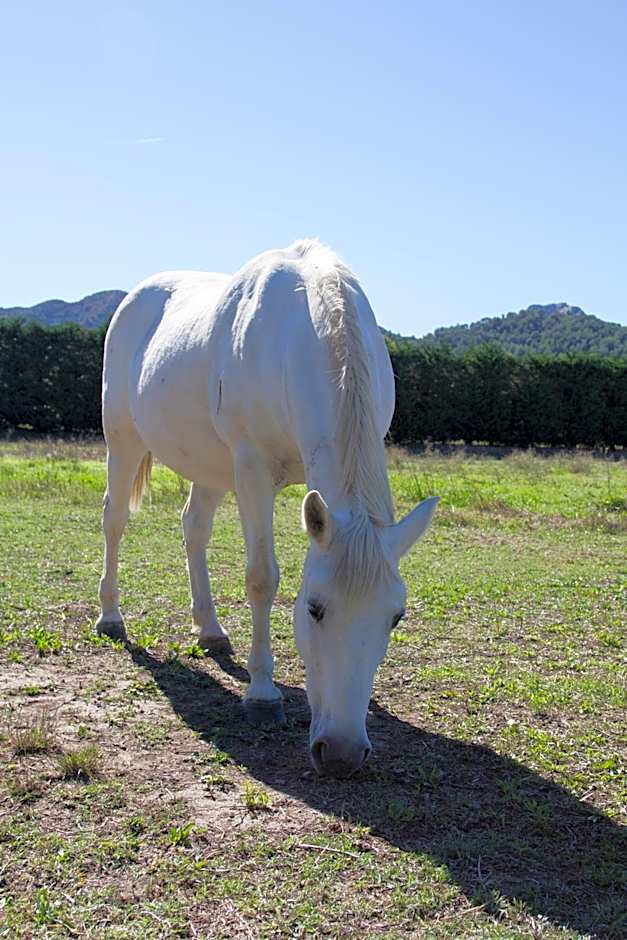Les Résidences de Métifiot