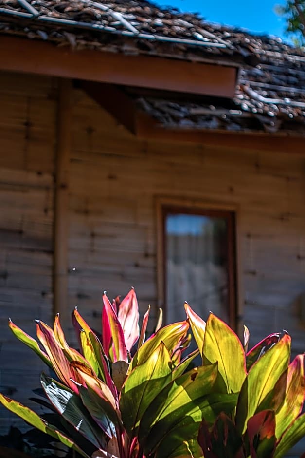 The Nest House