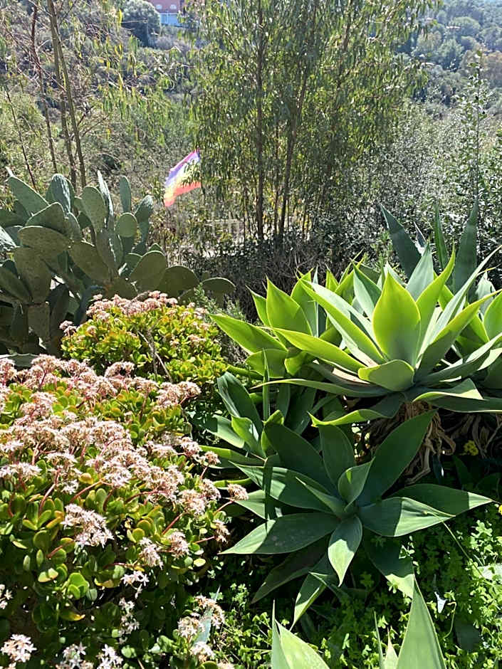 Villa Bella Salmagi - Surya Sardinia Holidays & Yoga