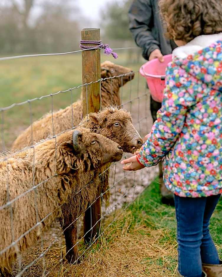 Drovers Rest Farm Stay