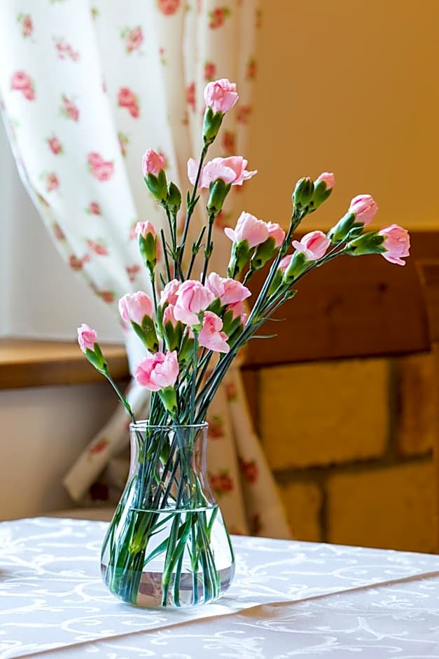 Villa Cynamon Jacuzzi & Sauna