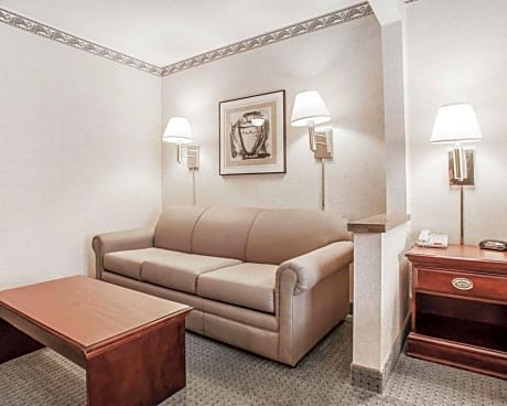 1 King Bed, Nonsmoking