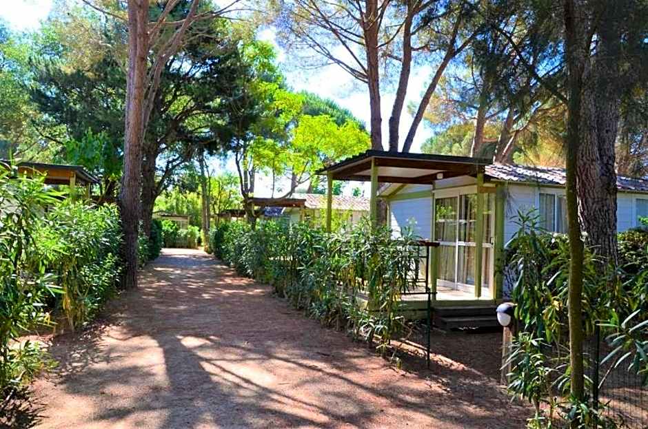 Camping La Pinede Enchantee